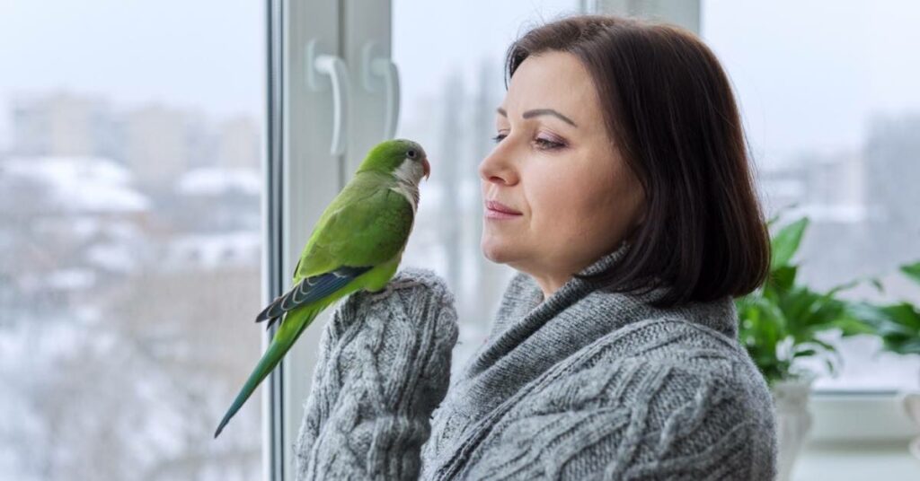 Caring for a pet bird