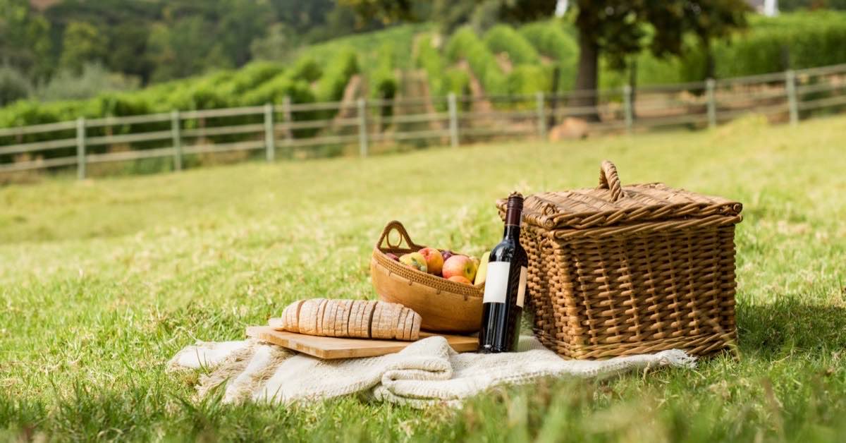 What Picnic Gear To Choose For Your Next Outdoor Party
