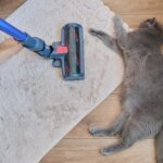 Advantages of Stick Vacuum Cleaners